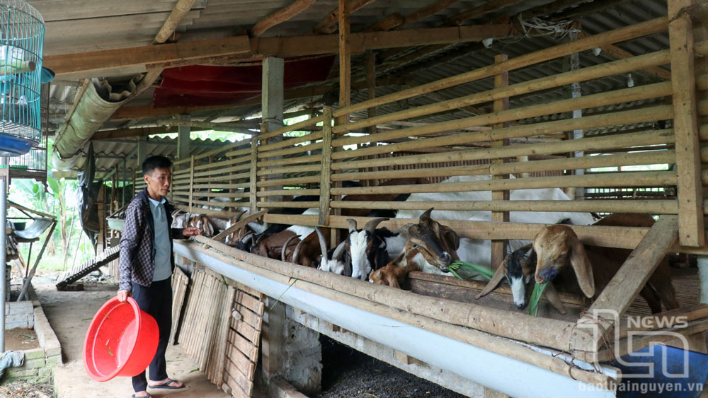 Gần 30 tỷ đồng vốn ưu đãi hỗ trợ hộ sản xuất, kinh doanh tại vùng khó khăn