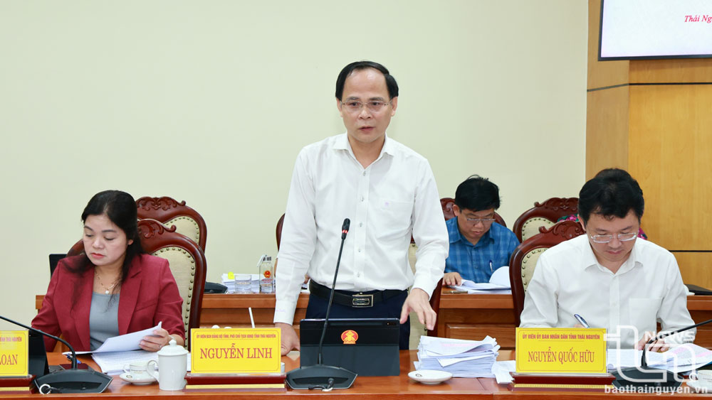 Đồng chí Nguyễn Linh, Phó Chủ tịch UBND tỉnh, phát biểu tại Hội nghị.