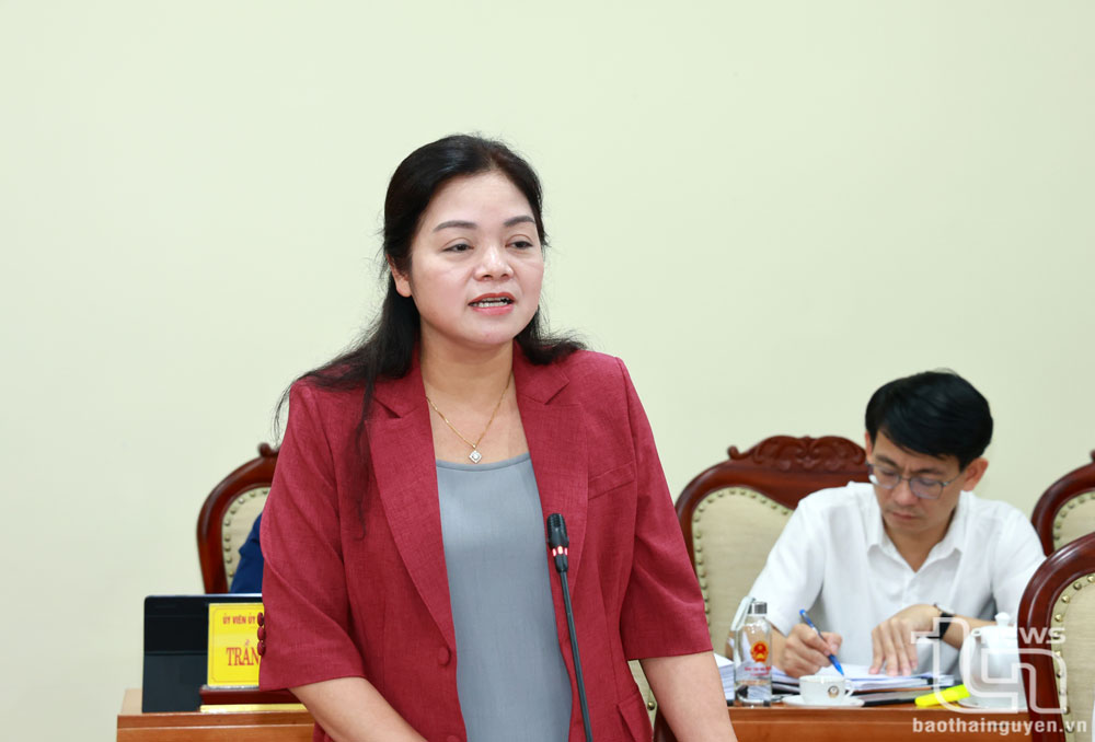 Đồng chí Nguyễn Thị Loan, Phó Chủ tịch UBND tỉnh, phát biểu tại Hội nghị.