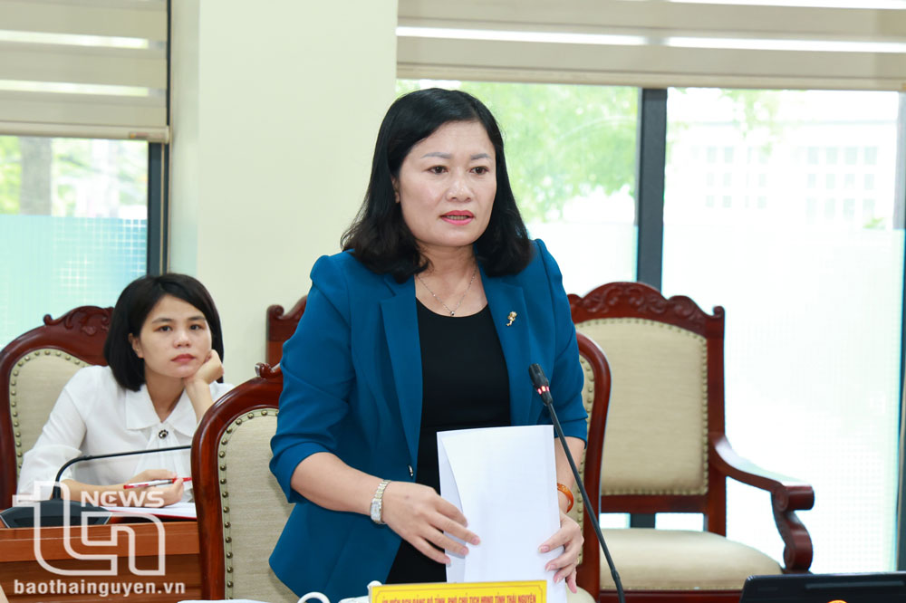 Đồng chí Mai Thị Thúy Nga, Phó Chủ tịch HĐND tỉnh, phát biểu tại Hội nghị.