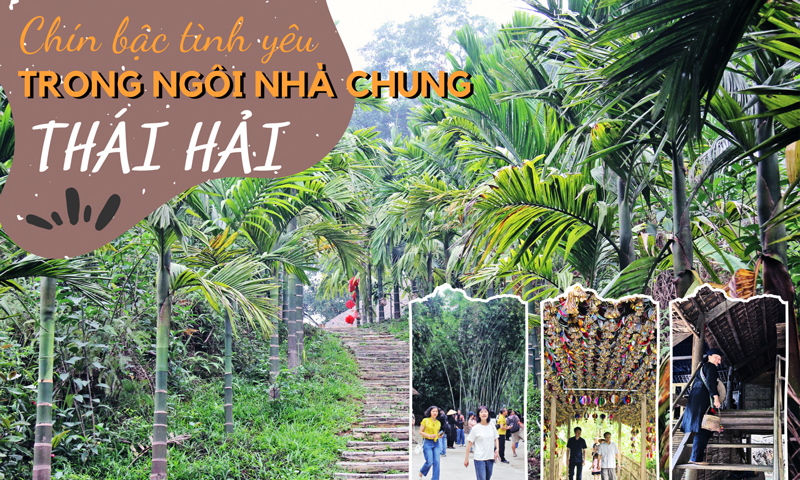 Chín bậc tình yêu trong ngôi nhà chung Thái Hải