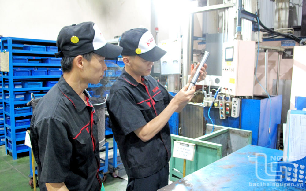 Sản xuất ổn định, phát triển bền vững