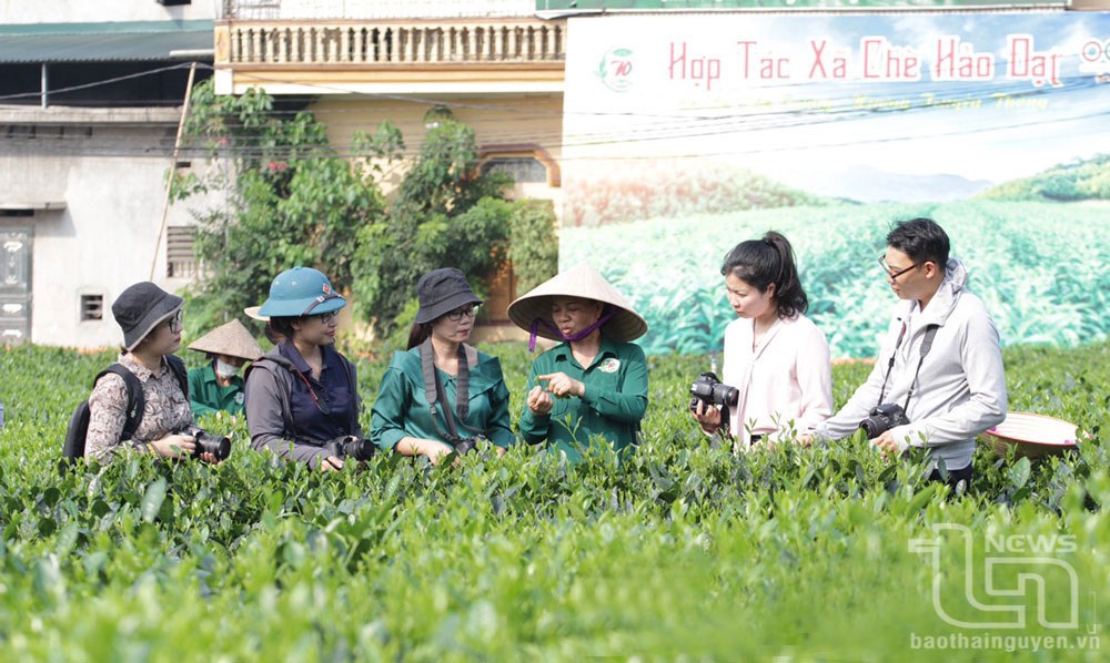 Đi giữa gió mà giữ hương chữ nghĩa
