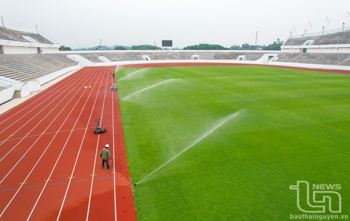 Toàn bộ mặt sân cỏ được trang bị hệ thống tưới tự động hiện đại và được chăm sóc, cắt tỉa thường xuyên.