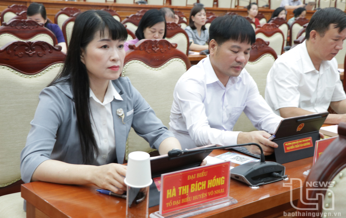 Đại biểu HĐND tỉnh dự tập huấn.