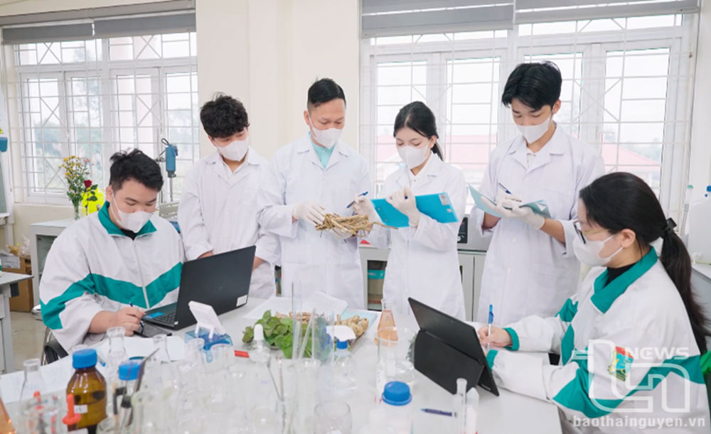 Khơi dậy tinh thần khởi nghiệp từ nông sản quê hương