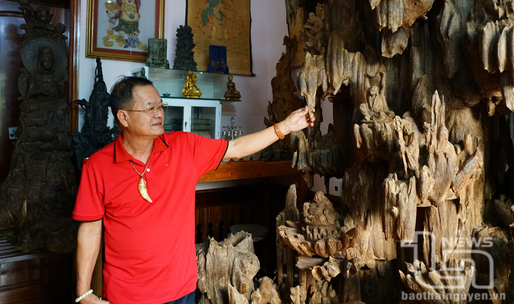 Ngoài kinh doanh cây cảnh, ông Nguyễn Văn Học còn dày công sưu tập nhiều loại gỗ quý.