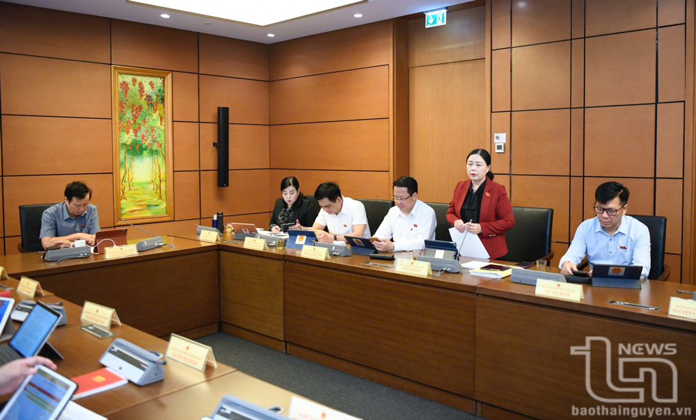 Đại biểu Quốc hội thảo luận tại tổ về nhiều vấn đề kinh tế - xã hội, ngân sách nhà nước