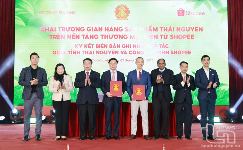 Triển vọng từ những thỏa thuận hợp tác