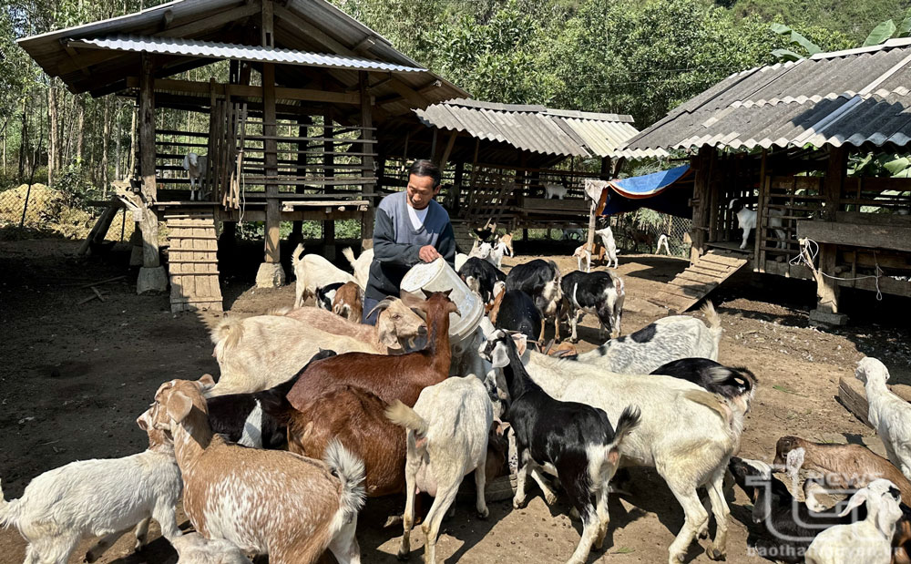 Một hộ dân ở xã Tân Long (Đồng Hỷ) được vay vốn chính sách để phát triển sản xuất, nâng cao thu nhập, đời sống.