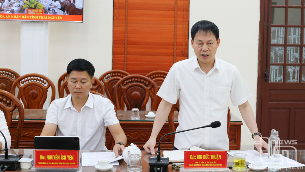 Lãnh đạo Tòa án nhân dân tỉnh Thái Nguyên phát biểu tại Hội nghị.