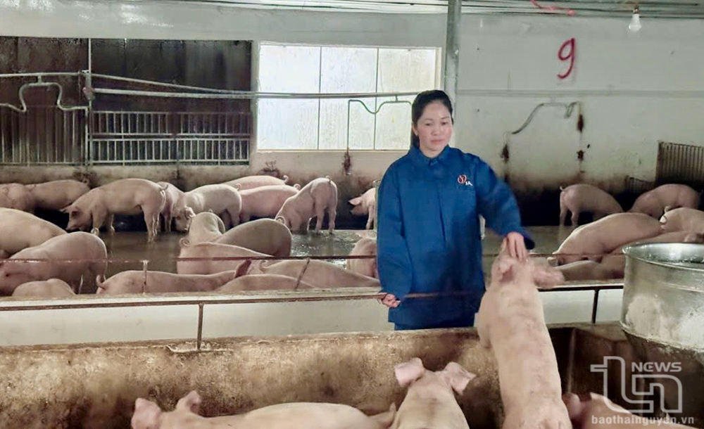 Tấm gương vượt khó làm giàu ở Na Bán