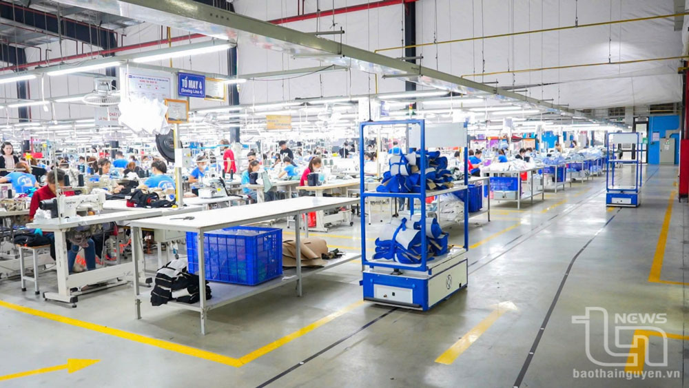 Tiên phong đổi mới sáng tạo trong lĩnh vực dệt may