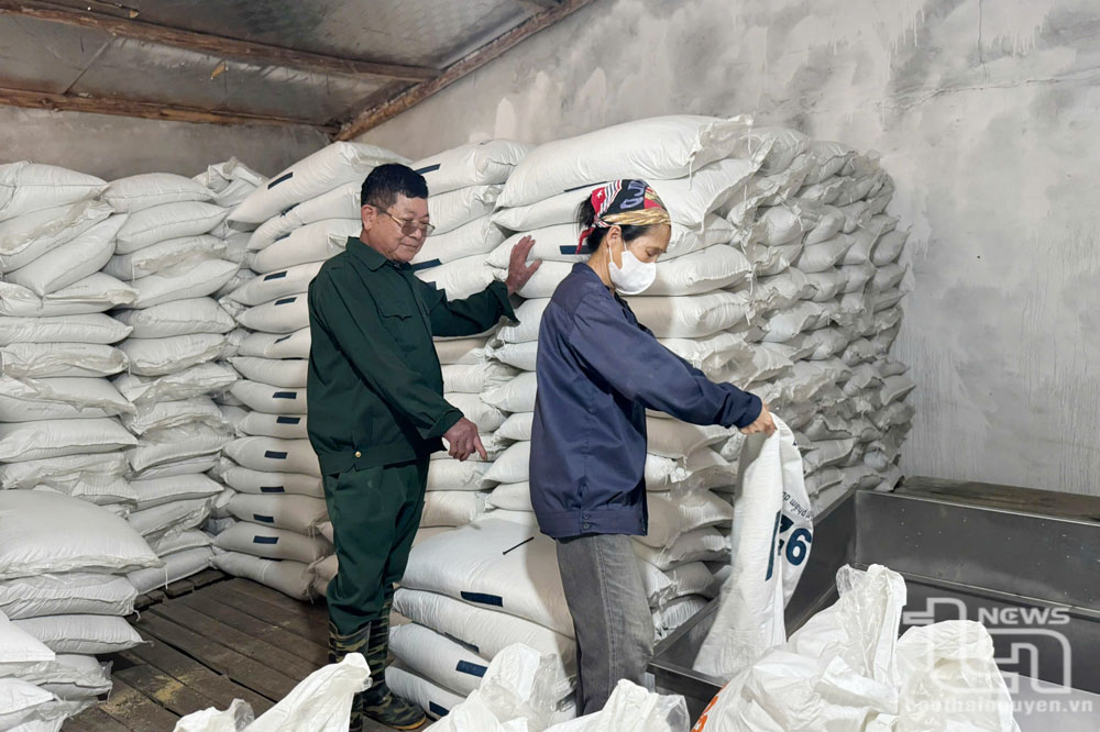 Chủ động xử lý chất thải chăn nuôi