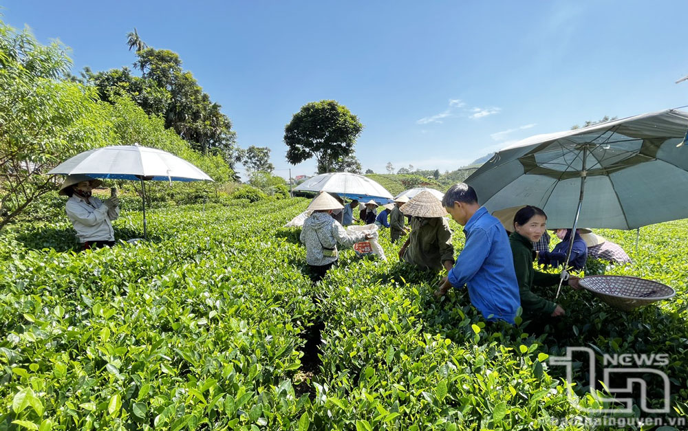 Yên Lãng 'vươn mình' từ nghị quyết