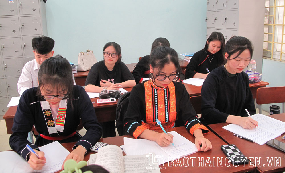 Thái Nguyên: 401 học sinh được tuyển thẳng vào lớp 10