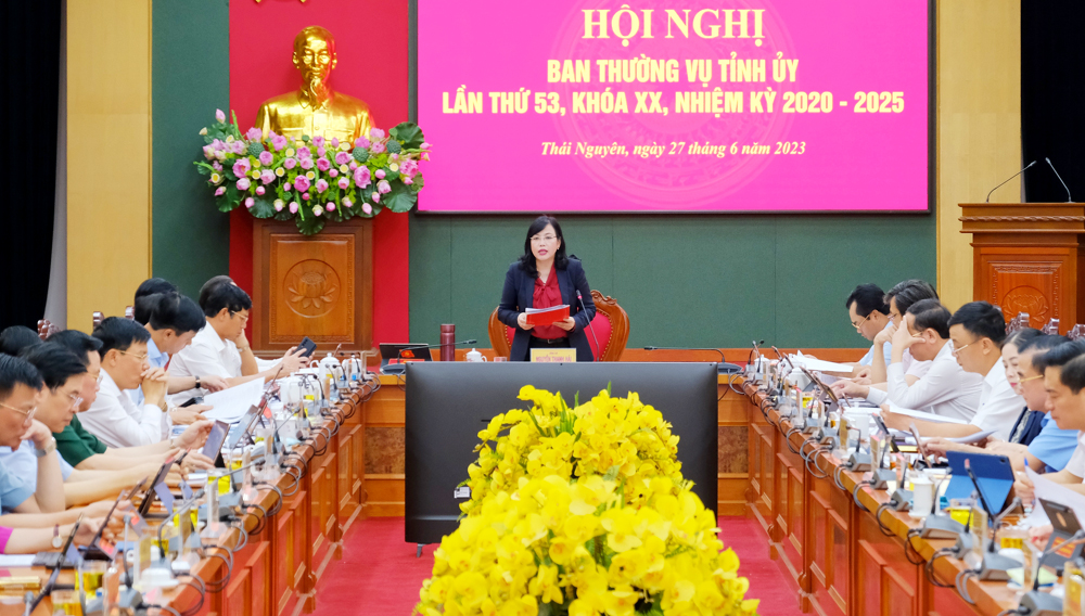 Ban Thường vụ Tỉnh ủy cho ý kiến vào nhiều nội dung phát triển kinh tế - xã hội