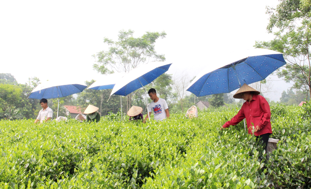 Thẩm định xã đạt chuẩn nông thôn mới nâng cao