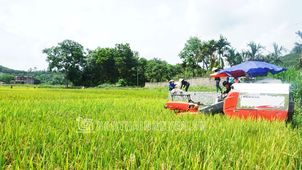 Nông nghiệp và PTNT: Về đích sớm để tiến xa hơn nữa