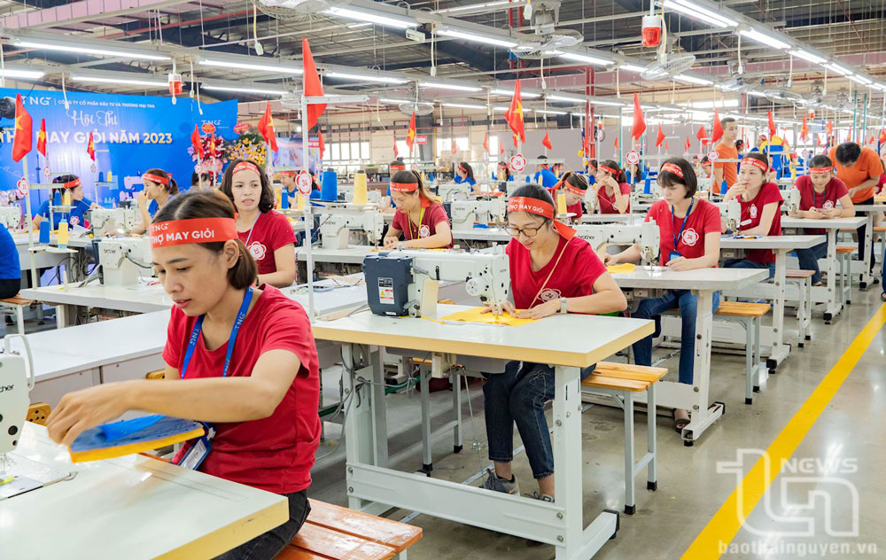 Phát huy vai trò của tổ chức đảng ở TNG