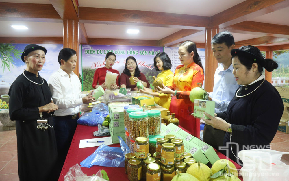 Vùng cao vun “gốc của công việc”