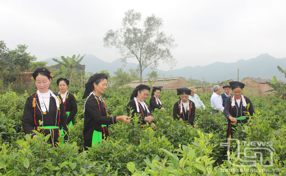 Thu hẹp khoảng cách phát triển giữa các vùng, dân tộc