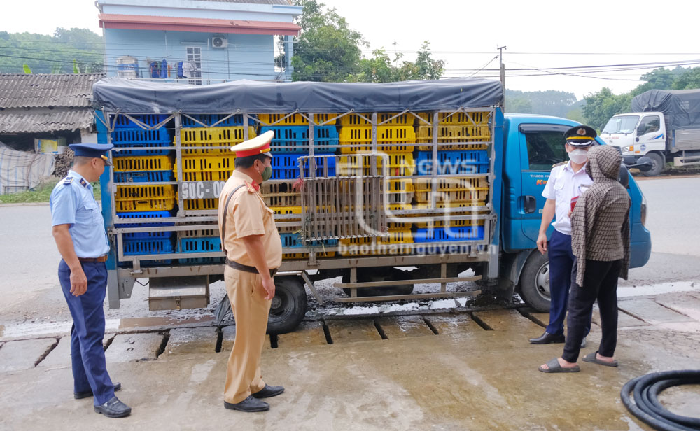 Phát hiện 1 tấn gia cầm không có giấy chứng nhận kiểm dịch