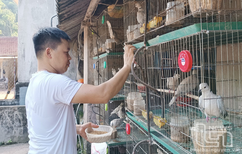 Phát triển đảng viên đảm bảo lượng và chất