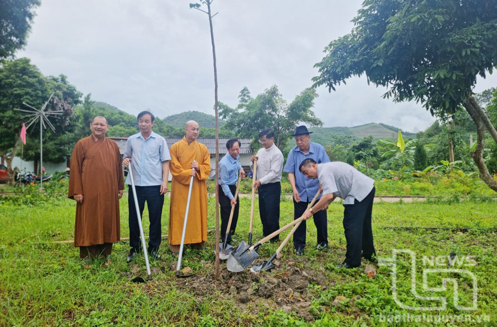 Hưởng ứng Ngày Môi trường thế giới bằng nhiều hoạt động ý nghĩa 