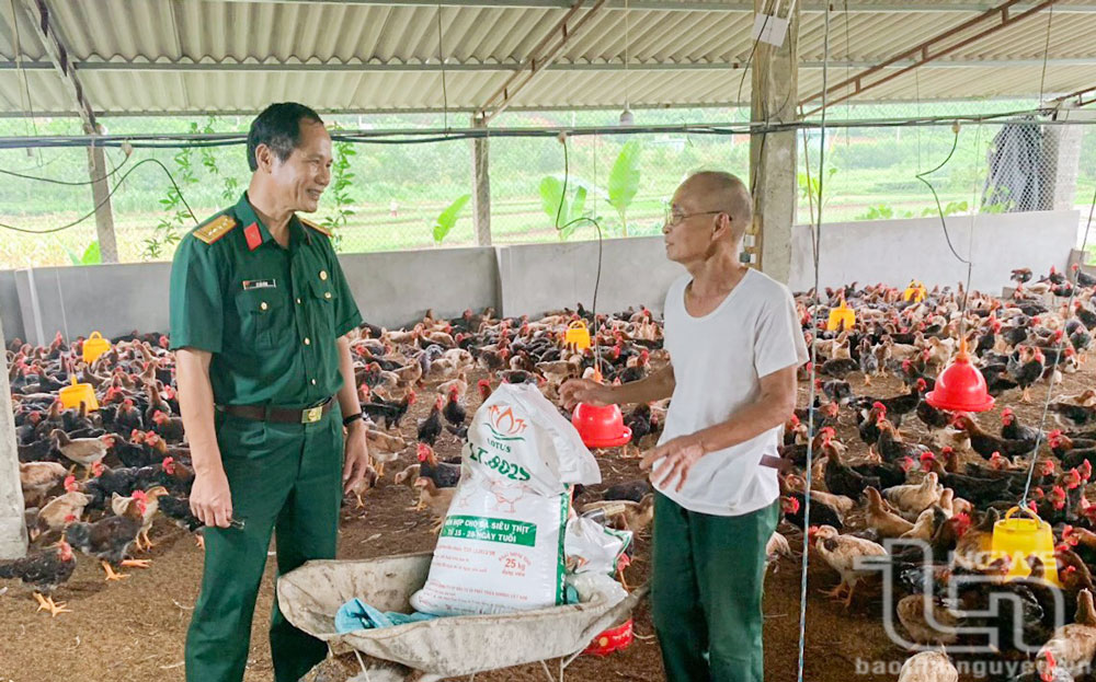 Đồng hành xoa dịu nỗi đau da cam