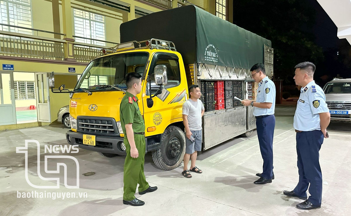 Tiêu hủy lượng lớn trái cây không đảm bảo an toàn