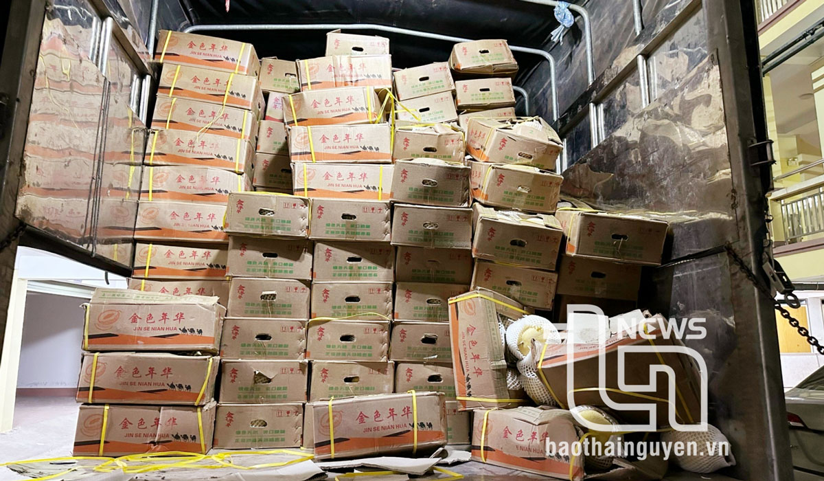 Toàn bộ số hàng hoá vi phạm.