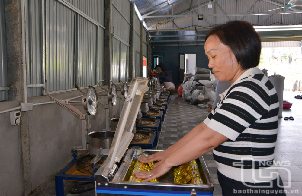 Cơ sở sản xuất chè Nga Tiếp, ở xóm Chính Phú 1, xã Phú Xuyên (Đại Từ), đã đầu tư nhiều thiết bị phục vụ chế biến chè.