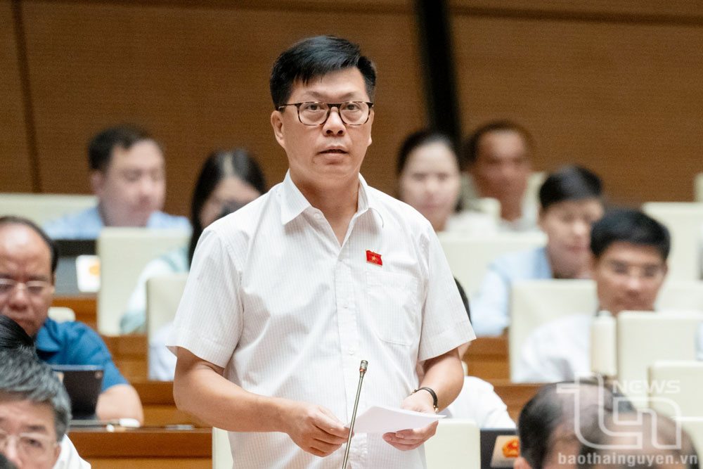 Đại biểu Quốc hội tỉnh Thái Nguyên chất vấn nhiều nội dung về tài nguyên - môi trường