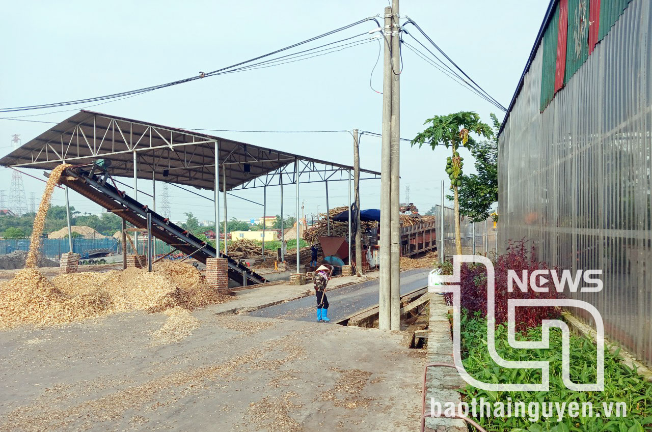 Xưởng gỗ băm gây tiếng ồn ảnh hưởng đến khu dân cư