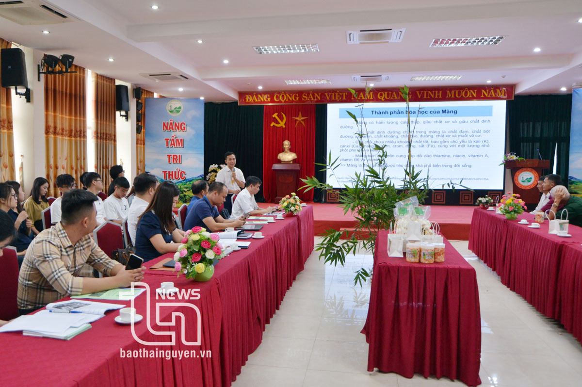 Trồng măng lục trúc thu lãi từ 150-200 triệu đồng/ha