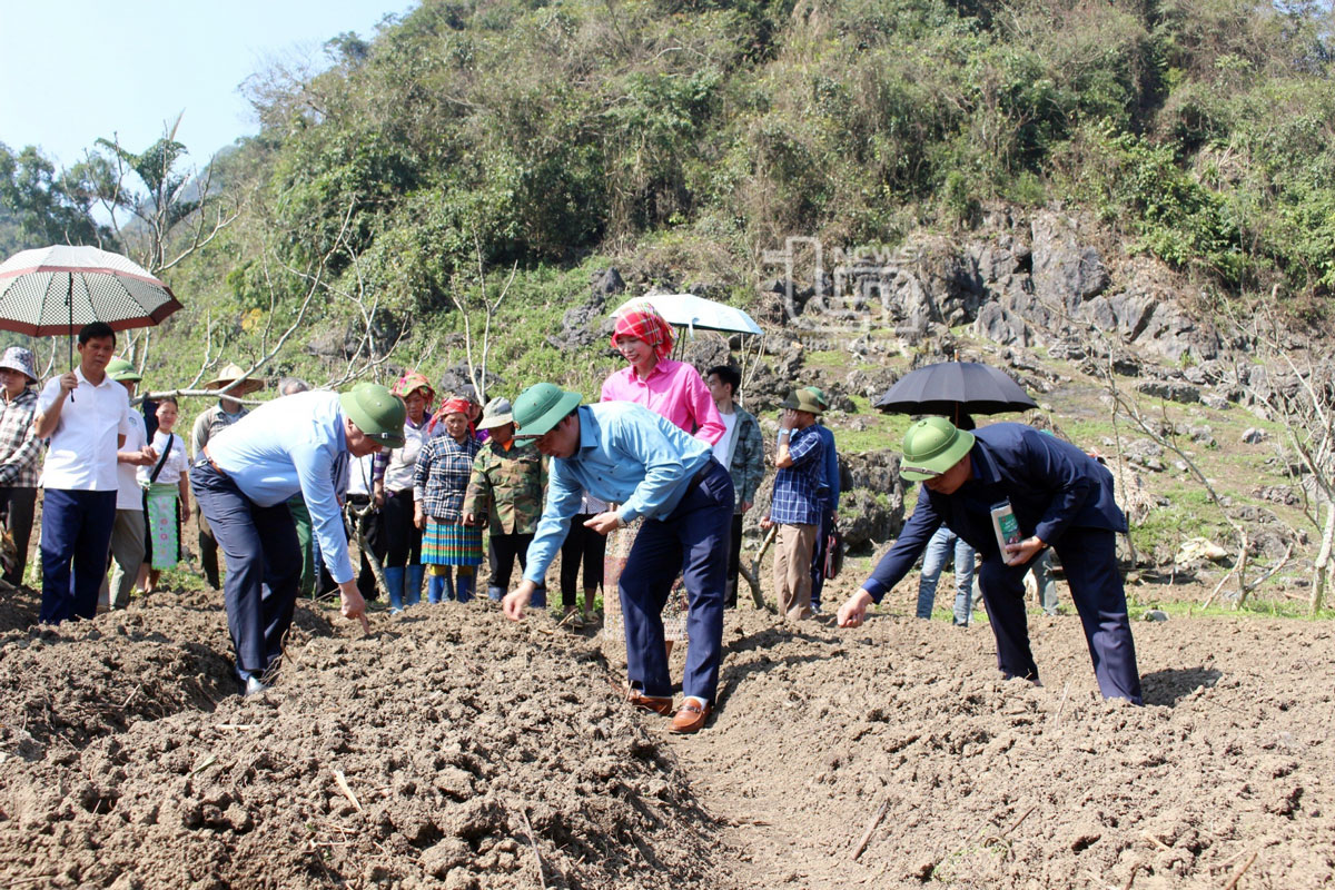 Đầu tư xây dựng 65 công trình giao thông nông thôn