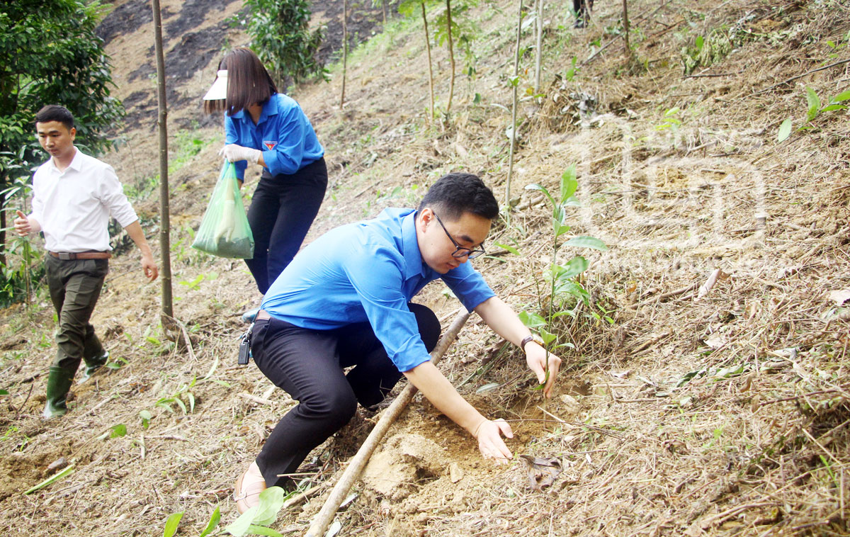Đoàn thanh niên Sở Nông nghiệp và PTNT tổ chức trồng rừng giúp người dân tại xã Lam Vỹ (Định Hóa).
