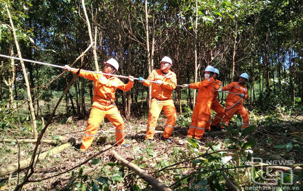 Điện lực Phú Lương: Chú trọng bảo đảm an toàn hành lang lưới điện