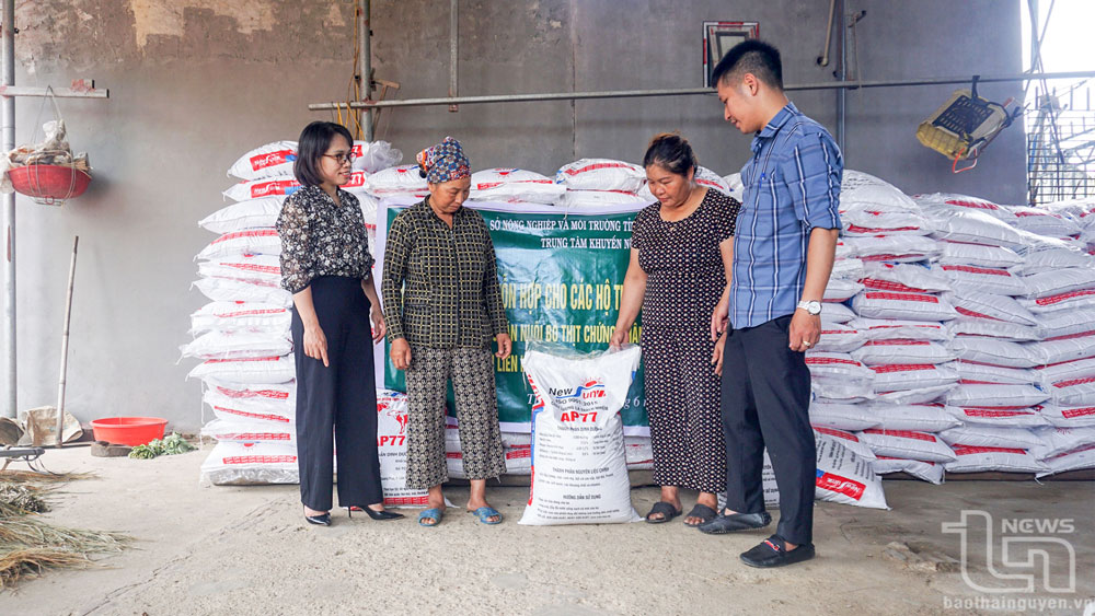 Các hộ dân tham gia mô hình chăn nuôi bò thịt chứng nhận VietGAHP gắn với liên kết tiêu thụ sản phẩm được hỗ trợ thức ăn hỗn hợp cho bò.