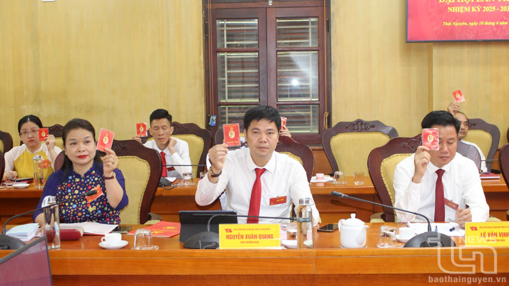 Đại biểu biểu quyết thông qua các nội dung tại Đại hội.