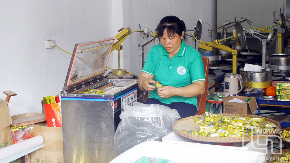 Nâng cao kỹ năng ghi nhãn hàng hóa cho các hợp tác xã