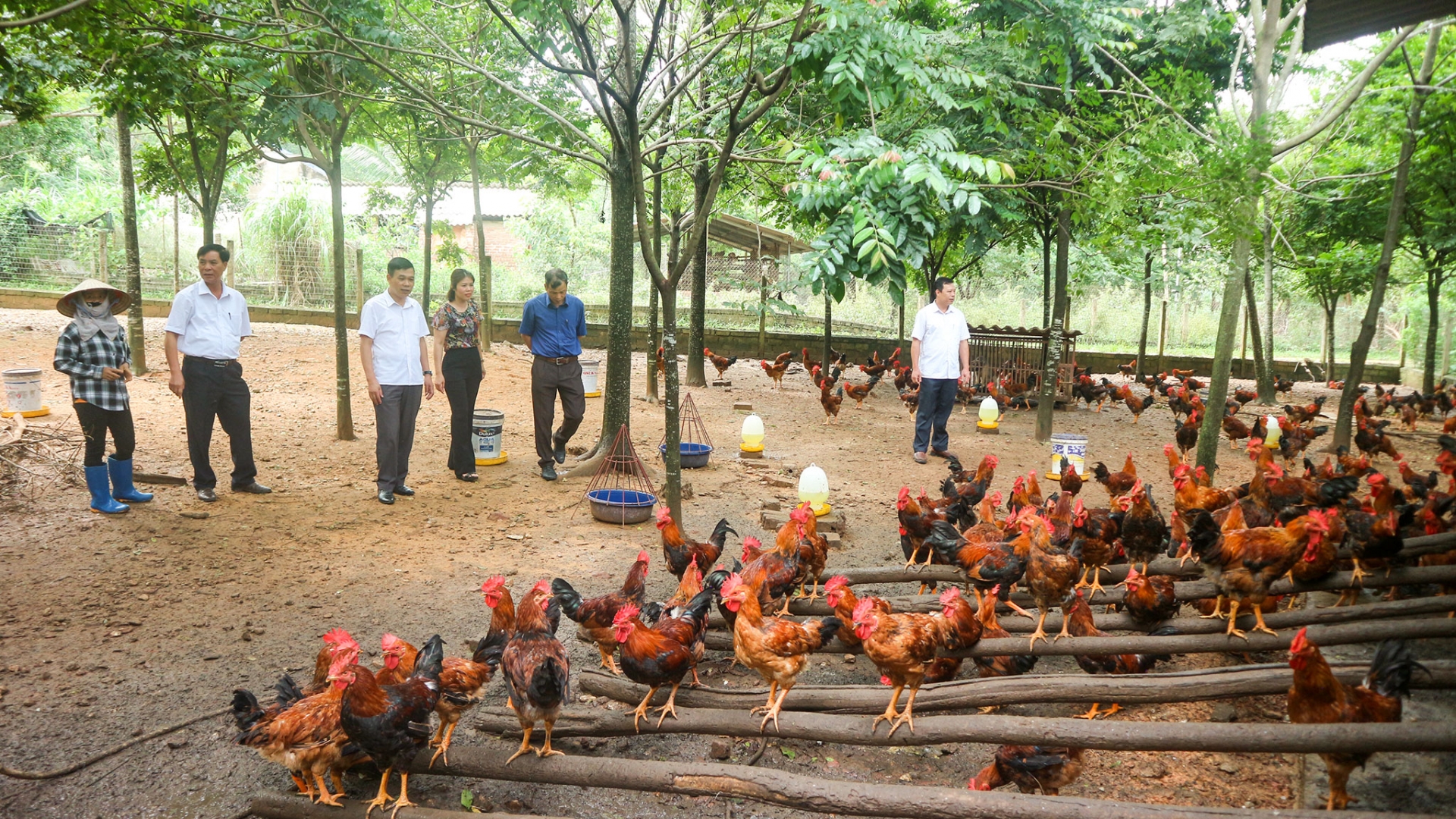 Việc sử dụng có hiệu quả các phần mềm phục vụ công tác quản lý nhà nước về chăn nuôi đã góp phần thực hiện tốt việc phòng, chống dịch bệnh, bảo đảm an toàn cho đàn vật nuôi trên địa bàn tỉnh.