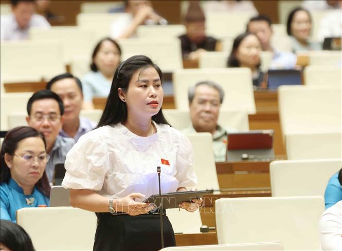 Đại biểu Quốc hội tỉnh Quảng Nam Đặng Thị Bảo Trinh đặt câu hỏi chất vấn. Ảnh: Phương Hoa/TTXVN