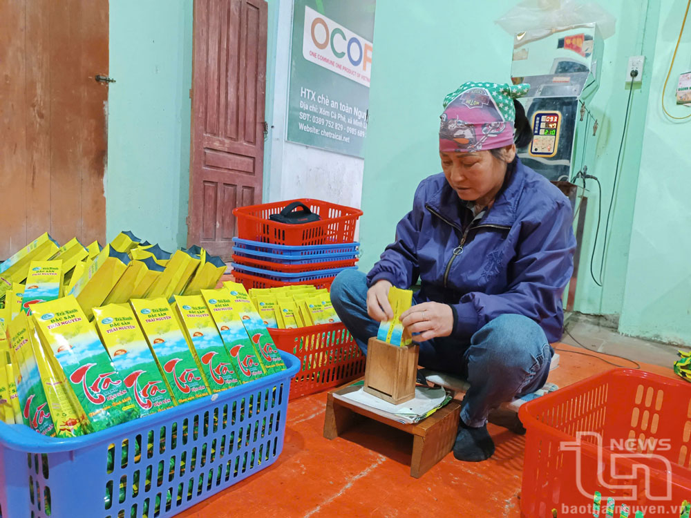 Đồng Hỷ: Tăng 37 hợp tác xã hoạt động trong lĩnh vực nông nghiệp