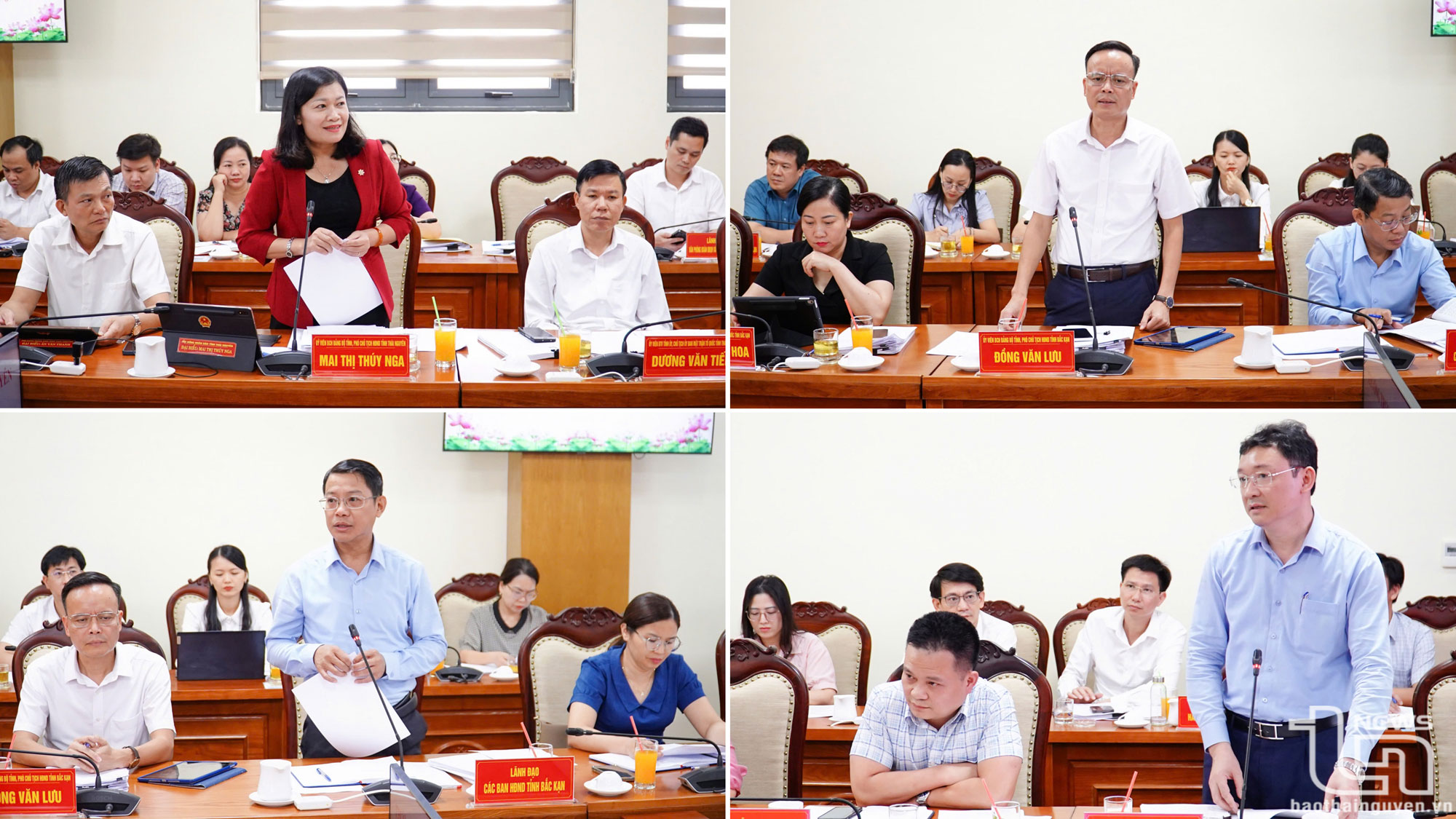 Các đại biểu phát biểu tại Hội nghị.