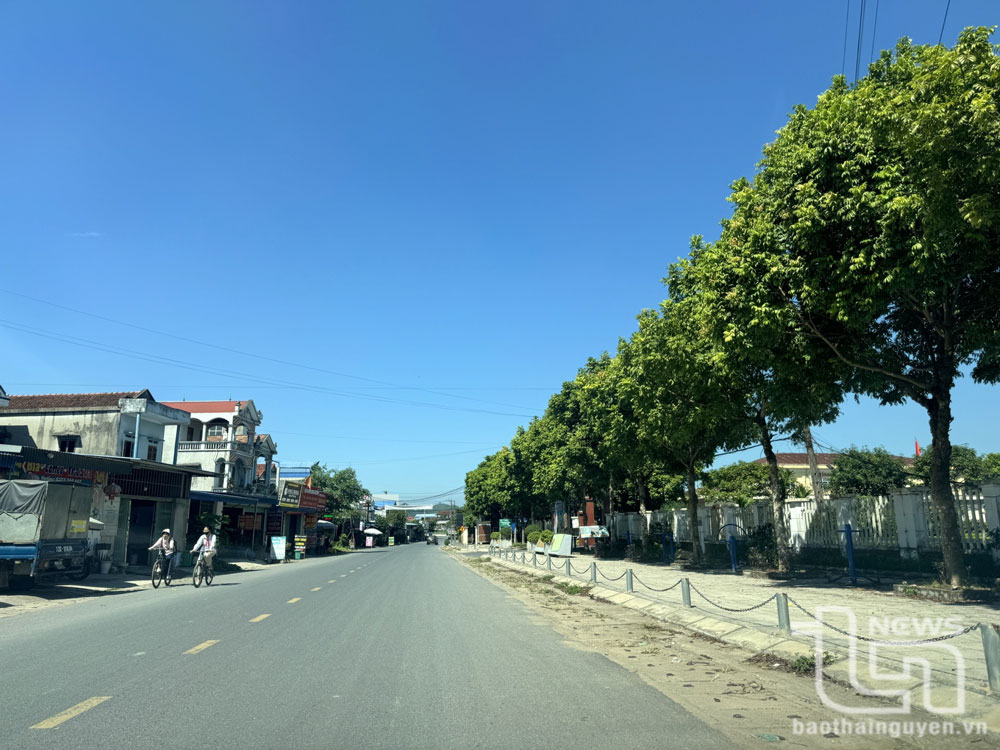 Nhiều tuyến đường trên địa bàn huyện Đại Từ được trồng cây xanh, bóng mát, tạo không gian xanh, sạch, đẹp.