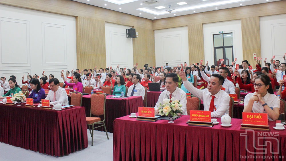 Các đại biểu biểu quyết thông qua Nghị quyết Đại hội.
