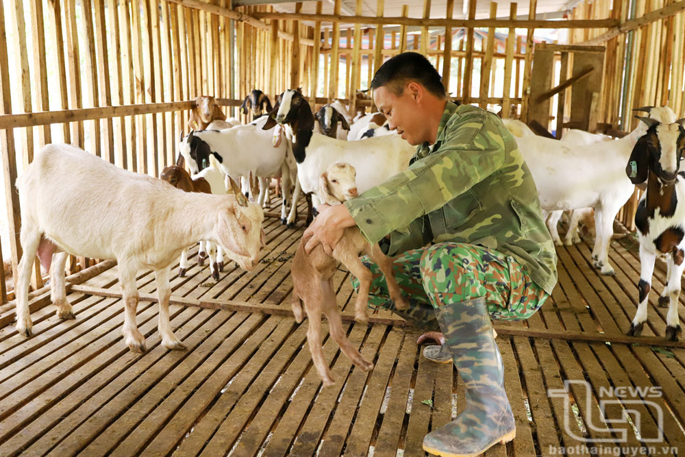 Trao 'cần câu' giúp đồng bào dân tộc thiểu số thoát nghèo
