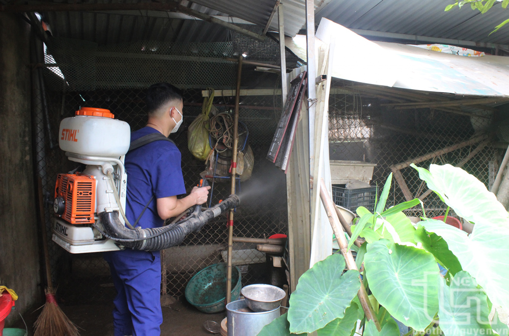 Lực lượng chức năng hỗ trợ người dân khu vực ngập nặng phường Quang Vinh (TP. Thái Nguyên) phun thuốc khử khuẩn tại khu vực chuồng trại.